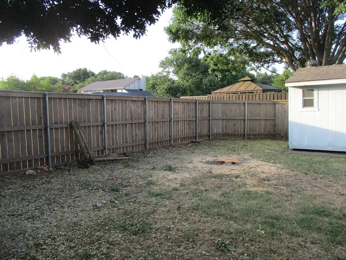 Cleared yard after professional tree removal in Parsonsburg